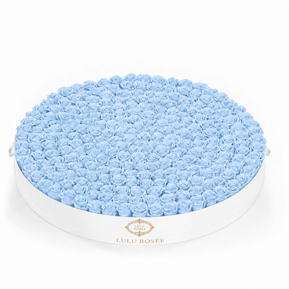 Baby blue eternal roses in a White Classic grand round rose box