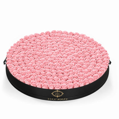 Light pink eternal roses in a Black Classic large round flower box
