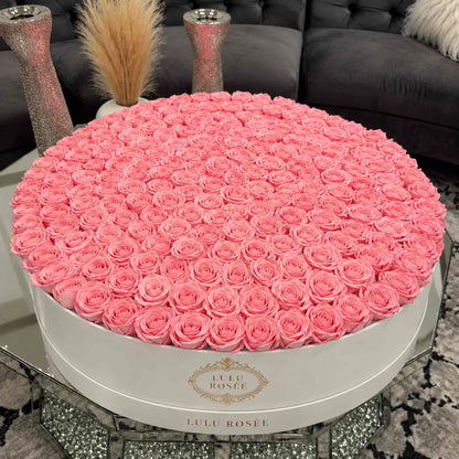 Light pink eternal roses in a White Classic grand round box displayed in an interior