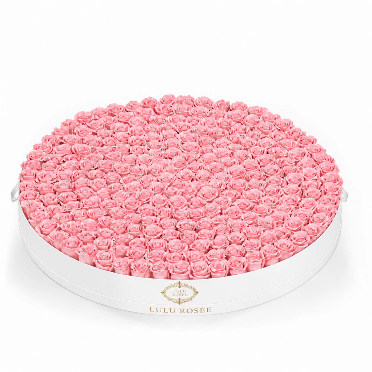 Light pink preserved roses in a White Classic Round Grandiose flower box