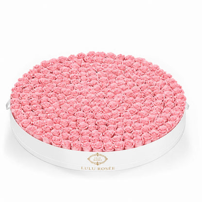 Light pink preserved roses in a White Classic Round Grandiose flower box