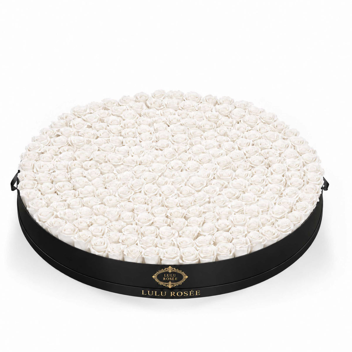 White preserved roses in a Black Classic Round Grandiose rose box