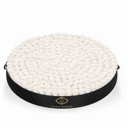 White preserved roses in a Black Classic Round Grandiose rose box