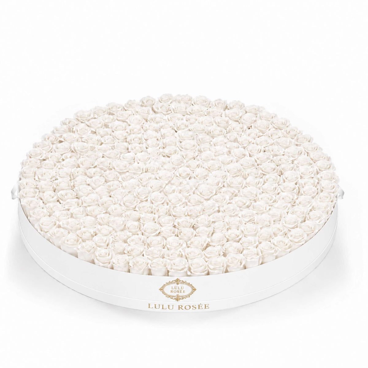 White eternal roses in a White Classic Round Grandiose rose box