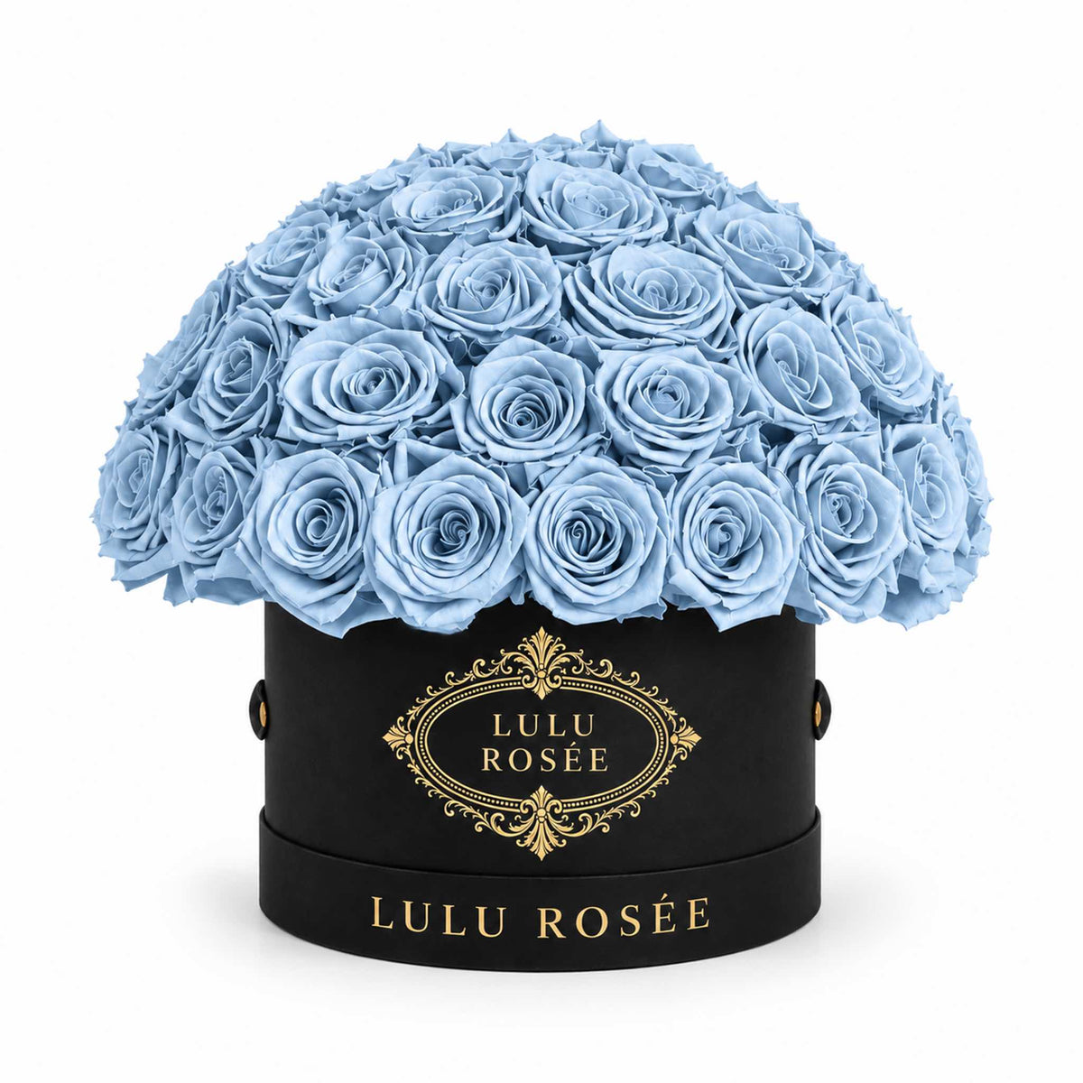 Baby blue preserved roses in a black classic Small Le Plein box on a white background.