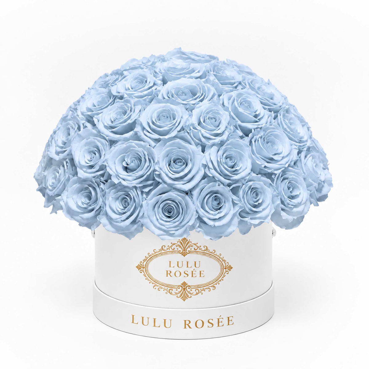 Baby blue preserved roses in a white classic Small Le Plein box on a white background.