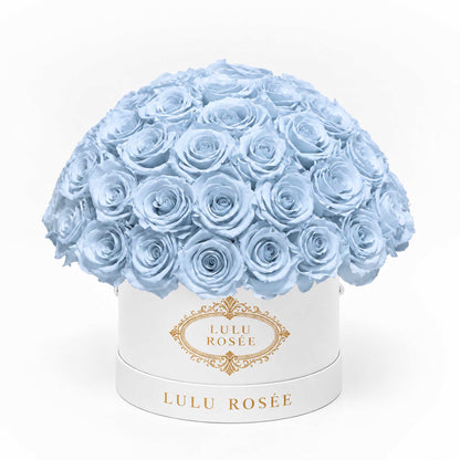 Baby blue preserved roses in a white classic Small Le Plein box on a white background.