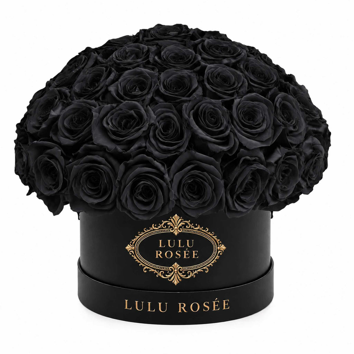 Black preserved roses in a black classic Small Le Plein box on a white background.
