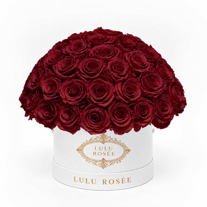 Burgundy preserved roses in a white classic Small Le Plein box on a white background.