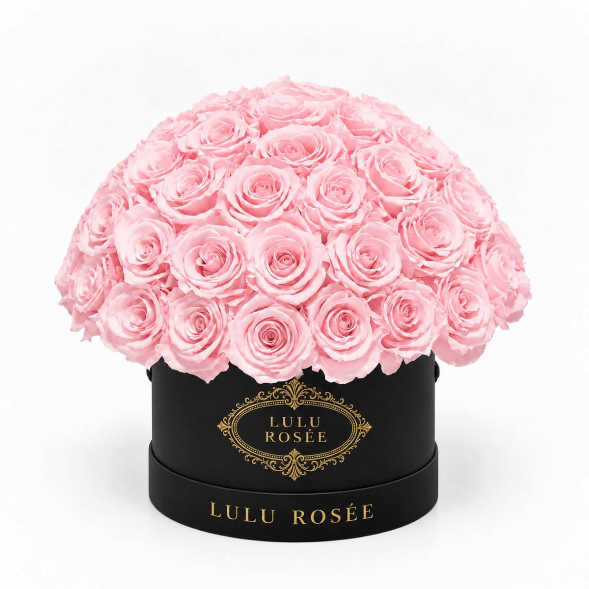 Light pink preserved roses in a black classic Small Le Plein box on a white background.