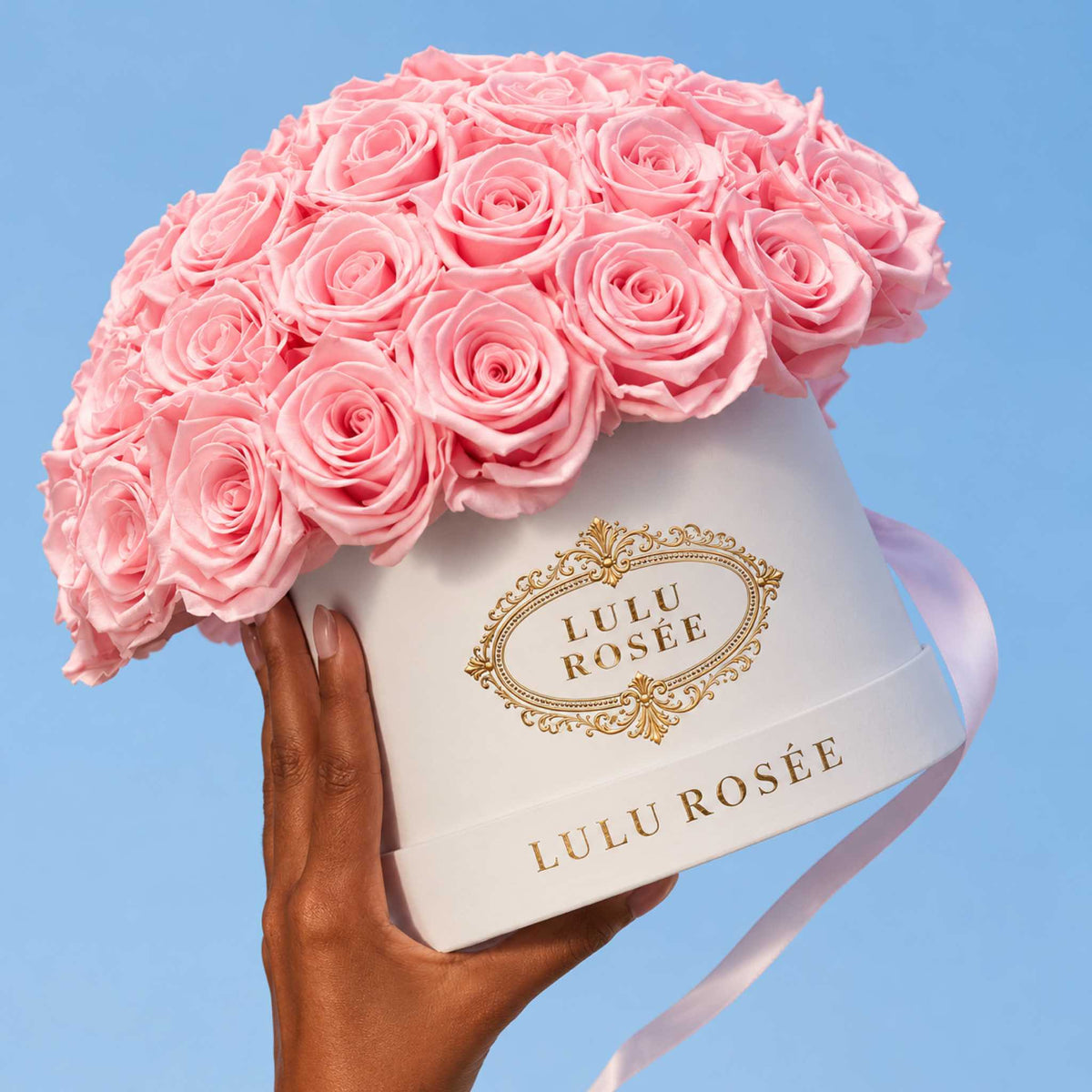 A hand holds a white Small Le Plein box filled with light pink preserved roses against a blue sky.