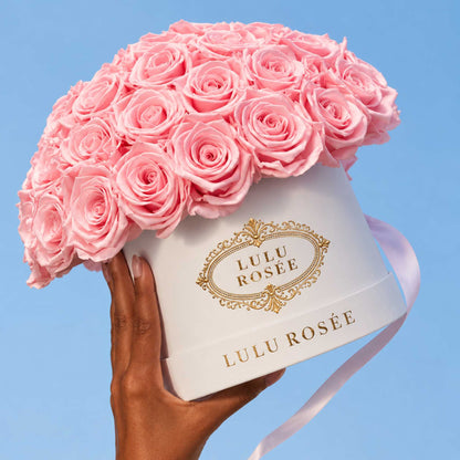 A hand holds a white Small Le Plein box filled with light pink preserved roses against a blue sky.