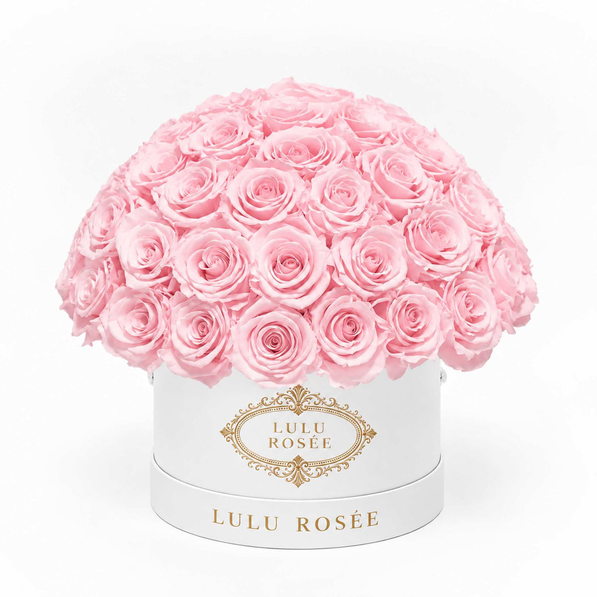 Light pink preserved roses in a white classic Small Le Plein box on a white background.