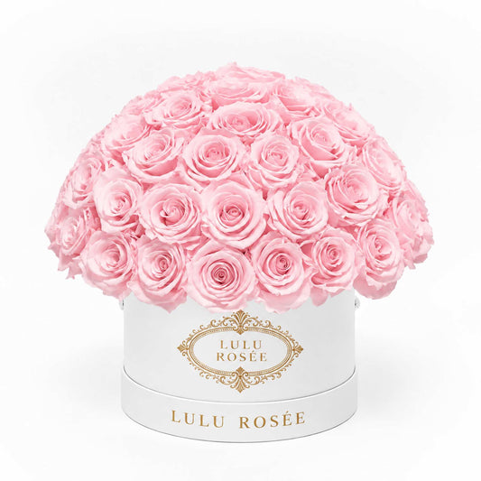 Light pink preserved roses in a white classic Small Le Plein box on a white background.