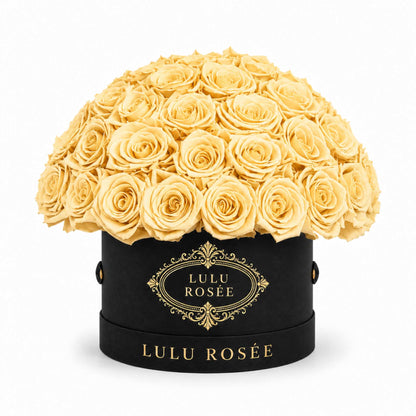 Light yellow preserved roses in a black classic Small Le Plein box on a white background.