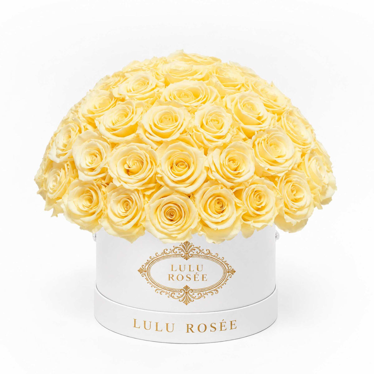 Light yellow preserved roses in a white classic Small Le Plein box on a white background.