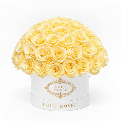 Light yellow preserved roses in a white classic Small Le Plein box on a white background.