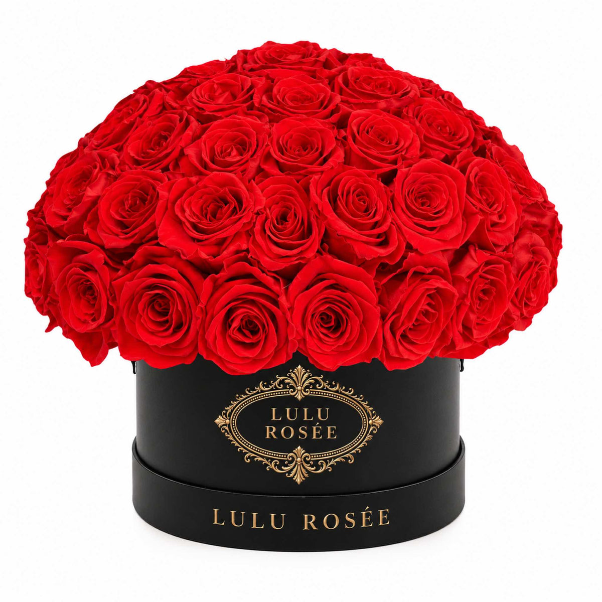 Red preserved roses in a black classic Small Le Plein box on a white background.