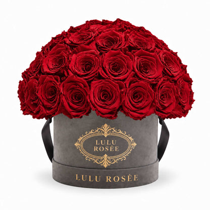 Red preserved roses in a grey suede Small Le Plein box on a white background.