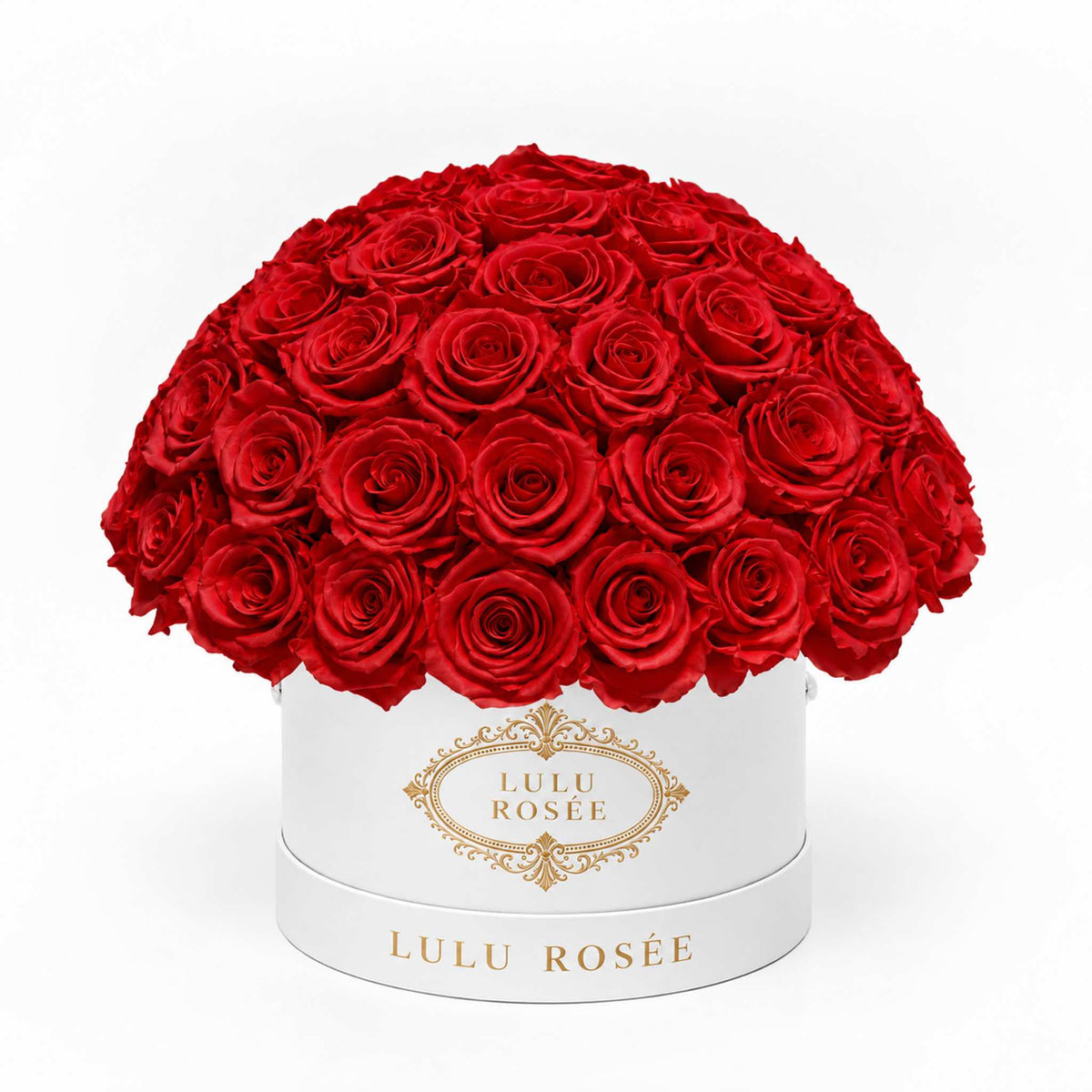 Red preserved roses in a white classic Small Le Plein box on a white background.