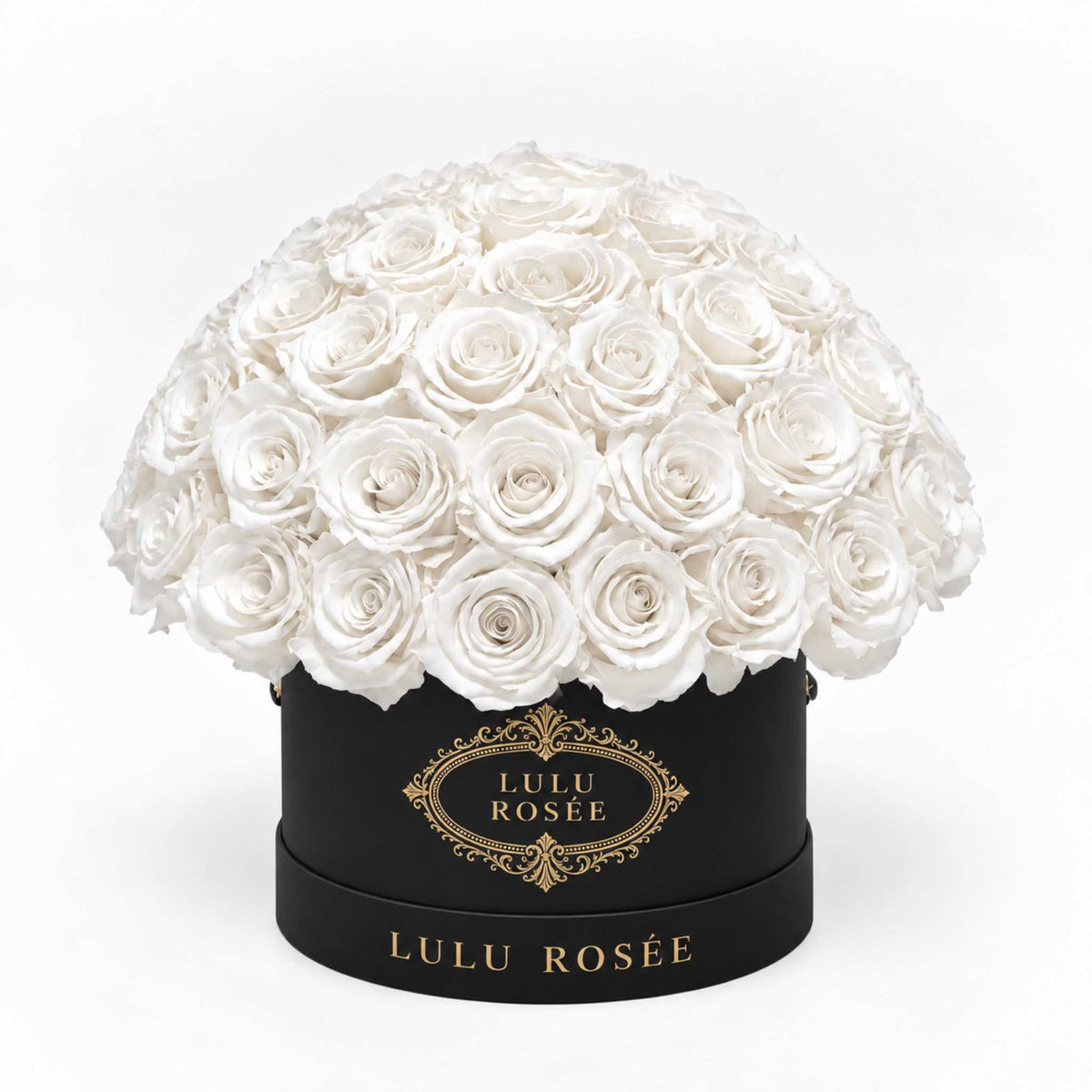 White preserved roses in a black classic Small Le Plein box on a white background.