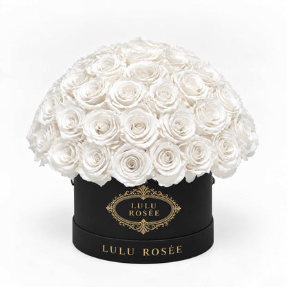 White preserved roses in a black classic Small Le Plein box on a white background.