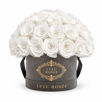 White preserved roses in a grey suede Small Le Plein box on a white background.