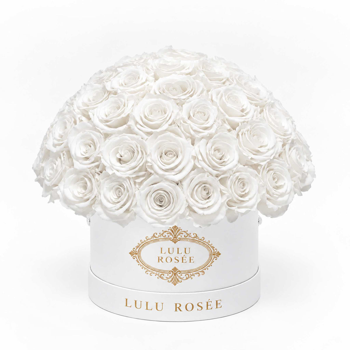 White preserved roses in a white classic Small Le Plein box on a white background.
