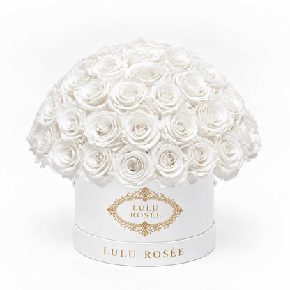 White preserved roses in a white classic Small Le Plein box on a white background.