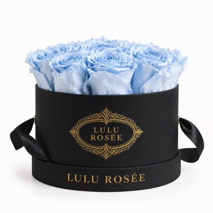 Baby blue preserved roses in a black small round box on a white background.