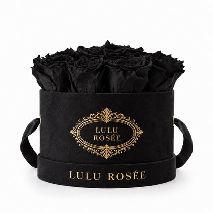 Black preserved roses in a black small round box on a white background.