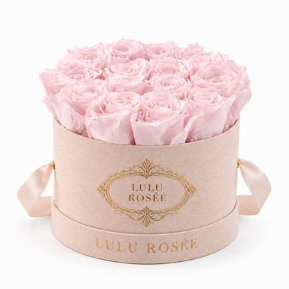 Blush preserved roses in a blush suede small round box on a white background.