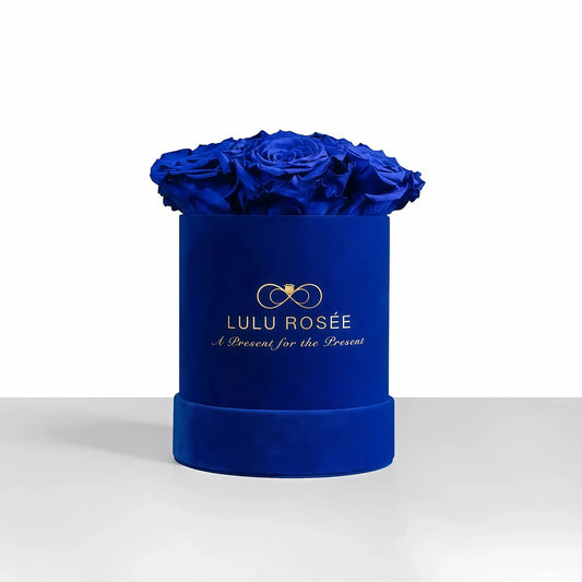 LULU ROSÉE small round box royal blue roses royal blue suede box on white background