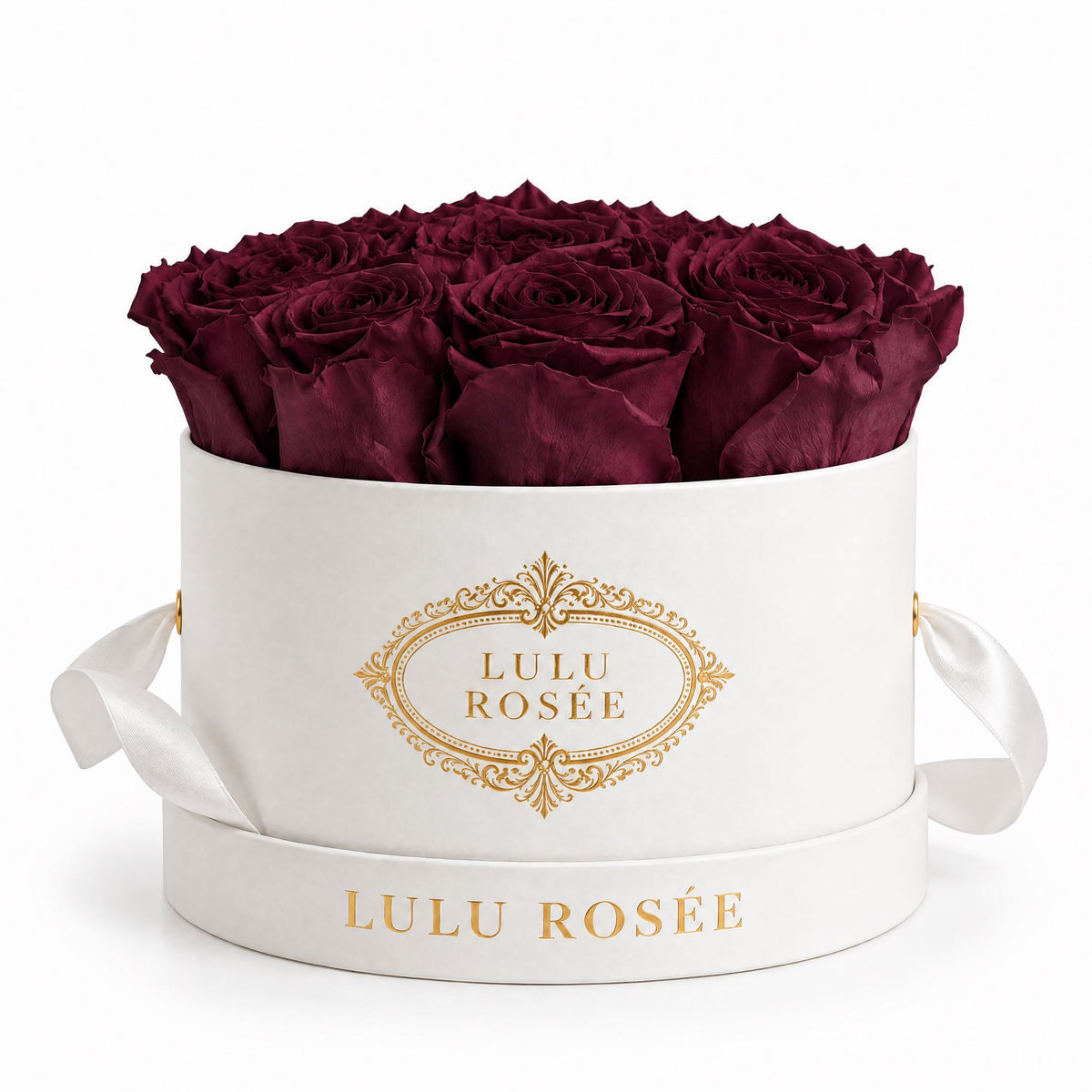 Burgundy preserved roses in a white small round box on a white background.