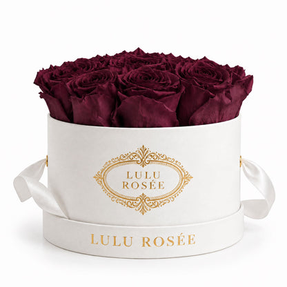 Burgundy preserved roses in a white small round box on a white background.
