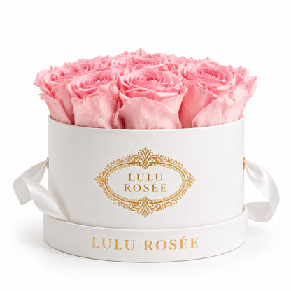 Light pink preserved roses in a white small round box on a white background.