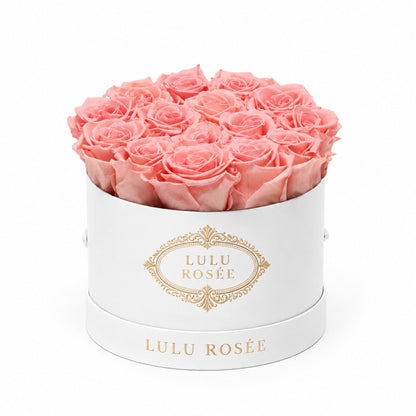 Light pink preserved roses in a white small round box on a white background.