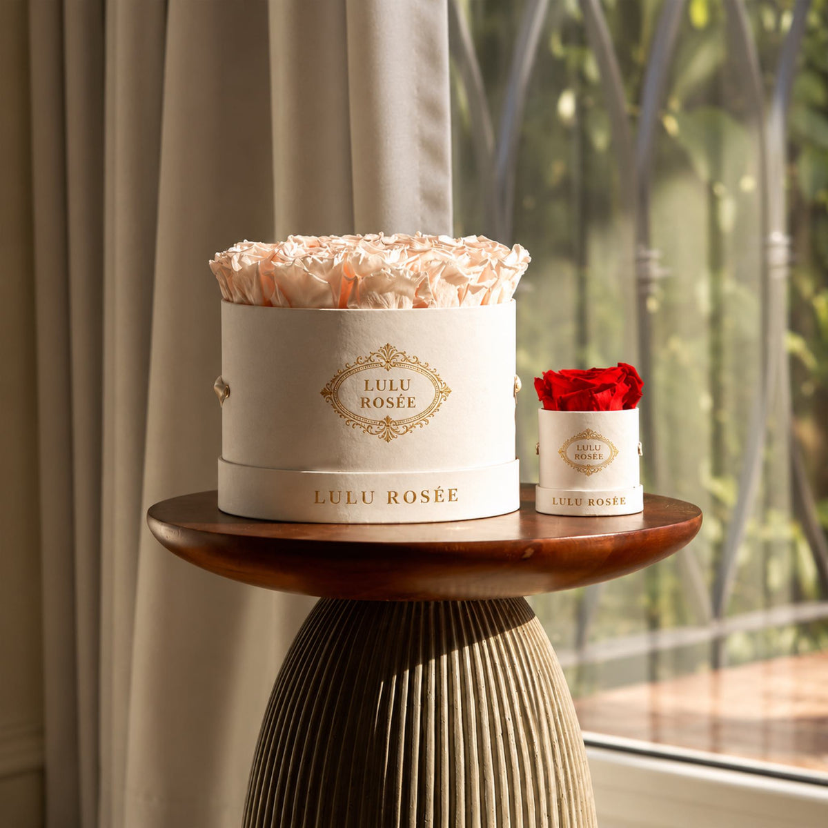 Cream preserved roses in a white round box displayed beside a smaller red rose box in sunlight.