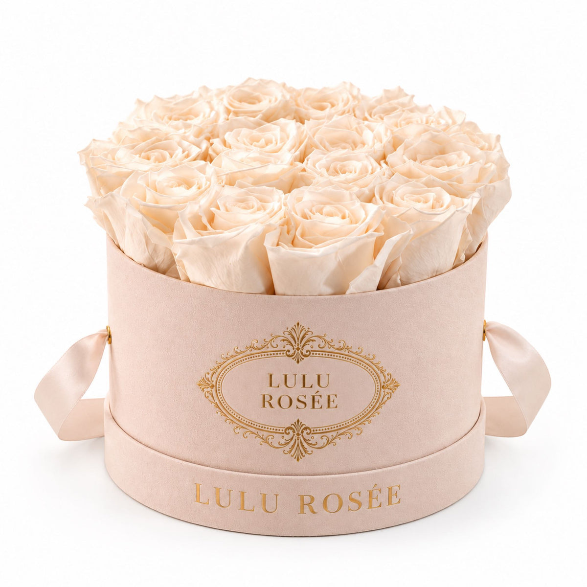 White preserved roses in a blush suede small round box on a white background.