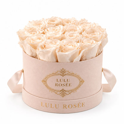 White preserved roses in a blush suede small round box on a white background.