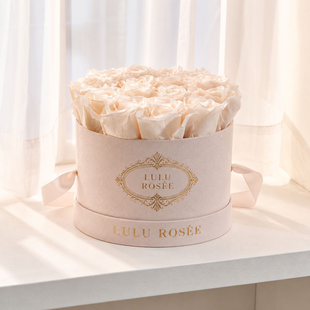 White preserved roses in a blush suede round box photographed by a softly lit window.