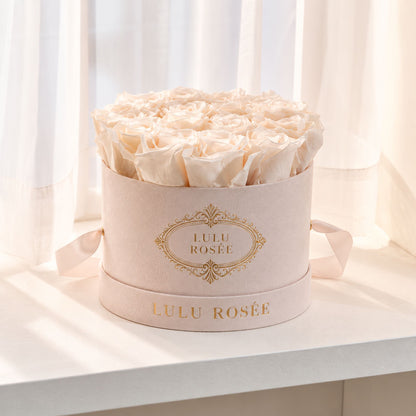 White preserved roses in a blush suede round box photographed by a softly lit window.