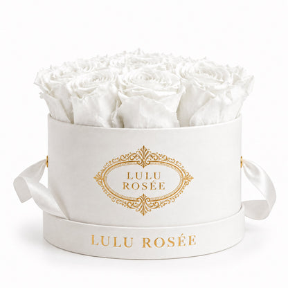 White preserved roses in a white small round box on a white background.