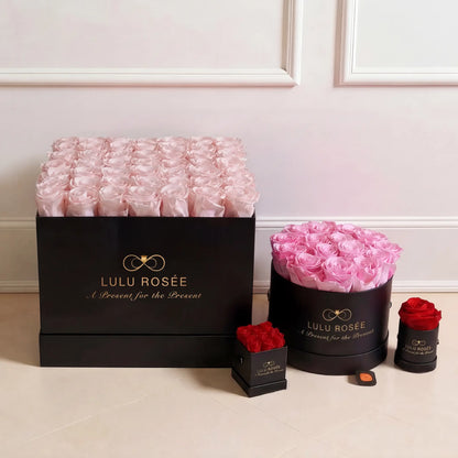 Lulu Rosée flower boxes with pink and red roses on a light background