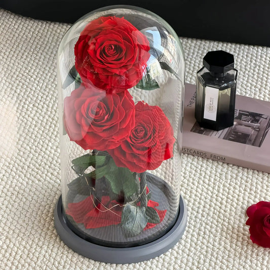 LULU ROSÉE Beauty and the Beast Triple Red Rose Dome, Everlasting Preserved Flower with LED