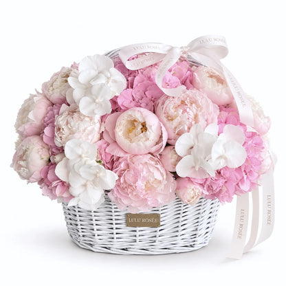 Blush preserved peony and hydrangea basket with white orchids on a white background