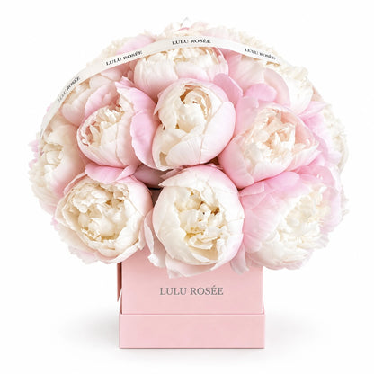 Blush and white preserved peonies in a pink square box on a white background