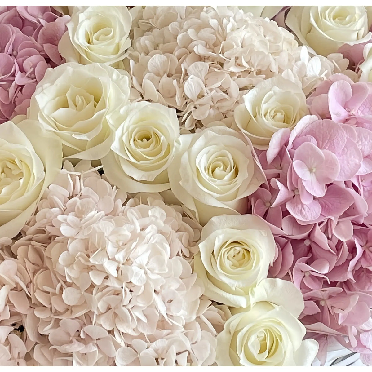 Close-up of cream preserved roses among pale pink and blush hydrangeas