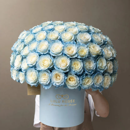 LULU ROSÉE Grande Superdome Ice Blue Gradient Preserved Rose Box held by model, oversized dome ice blue everlasting rose cylinder box, premium romantic gift for special occasions